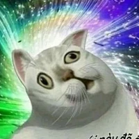 Người ngu gốc Việt / Tg