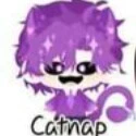 hiha catnap