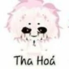 hiha tha hóa
