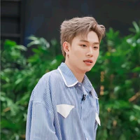 dương domic