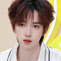 Hạ Tuấn Lâm