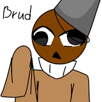 Brud