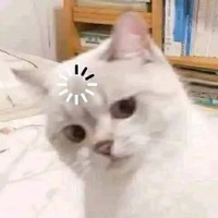 tao t/g nè má