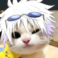 Hệ Thống C83-Mèo Gojo