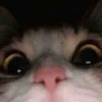 Ai cũng làm được 