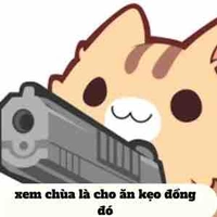 Chị T/g