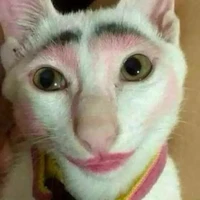 Iồn kắm thơm tho=t/g