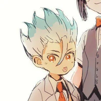 ISHIGAMI SENKU (10T)