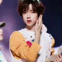 Hạ Tuấn Lâm