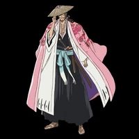 Kyoraku Shunshui