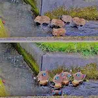 Hệ thống của shineo