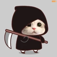 T/g (con mèo thần chết)