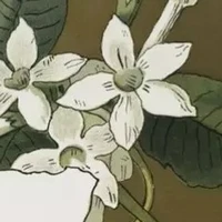 All (nhóm người cụ thể)