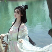 Triệu Hạ Như