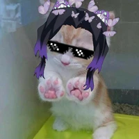 t/g hướng nội👉👈