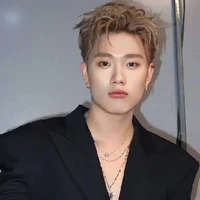 Dương Domic