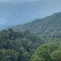 nv quần chúng