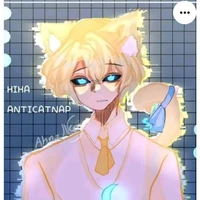 hiha anti catnap