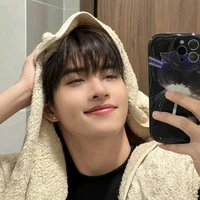 Hùng huỳnh (Gemini)