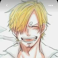 vinsmoke sanlu