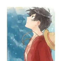 Monkey D Luffy