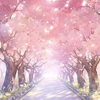 tg(himora sakura)