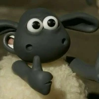 Rachel_⚡🐏_Tác giả