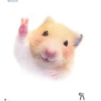 💬