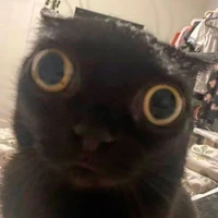 t/g