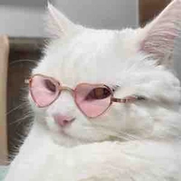 Băng Ngọc Di(mẹ SN,ST)