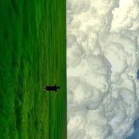 Tác giả chăm chỉ