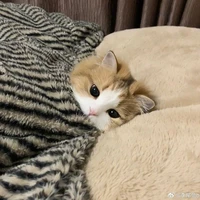 Tác giả Hyeon.Ryn