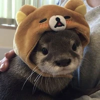 tác giả bị xàm^^