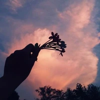 all-trừ ai cần trừ
