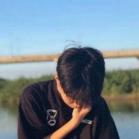 t/g ngu như chim