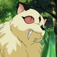 Kirara