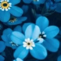 NPC kiêm luôn nhân vật ???