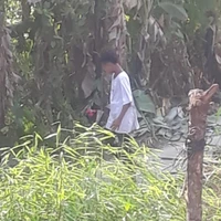 Nguyễn Quang Dẫn