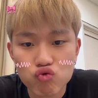 dương domic