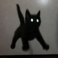 「 Mr. Meow 」