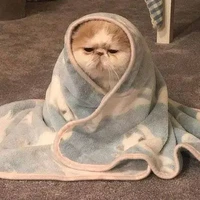 tác giả ^^