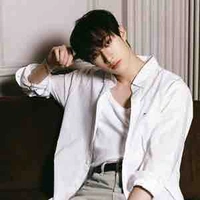 Bang Chan 