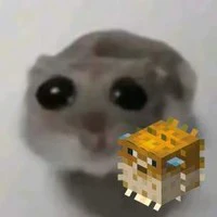 ai đó