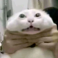 all