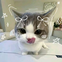 tác giả đẹp gái tới đây 