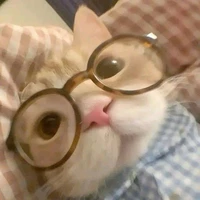 chuppy đay nèe
