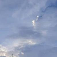 tui cầm đầu câu truyện này