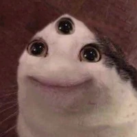 Kít