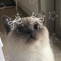Ngeii._Gái