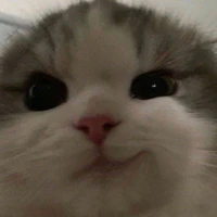 Đhiyy._Trai